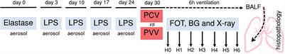 Benefit of Physiologically Variable Over Pressure-Controlled Ventilation in a Model of Chronic Obstructive Pulmonary Disease: A Randomized Study